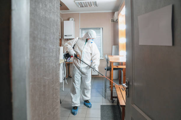 Best Environmental Consulting for Mold Prevention  in St Albans, VT